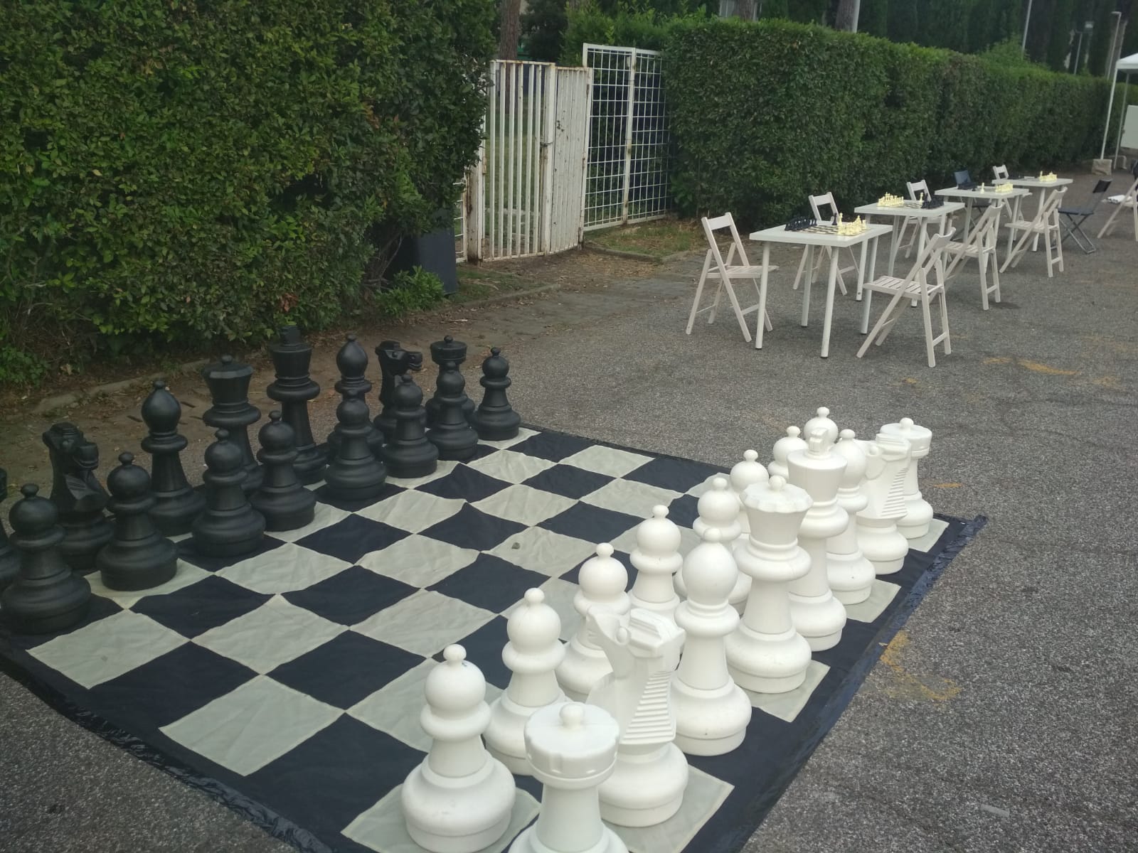 stadiodeimarmi2