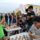 Pontinia